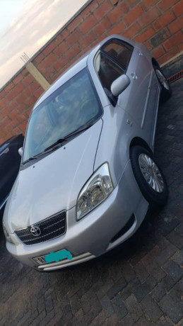 toyota-hatchback-big-1