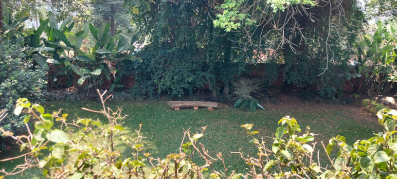 kigali-semi-furnished-house-available-for-rent-in-kiyovu-big-3