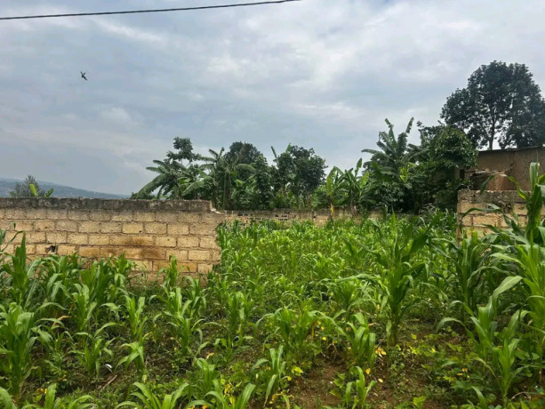 plot-for-sale-in-kagugu-bastinda-big-4