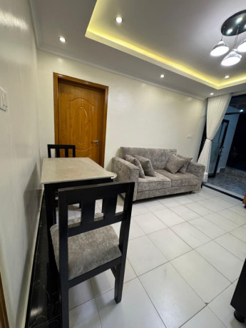 gishushu-near-rdb-1-bedroom-furnished-apartment-for-rent-in-kigali-big-1