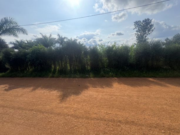 industrial-zone-plot-for-sale-in-masaka-big-1