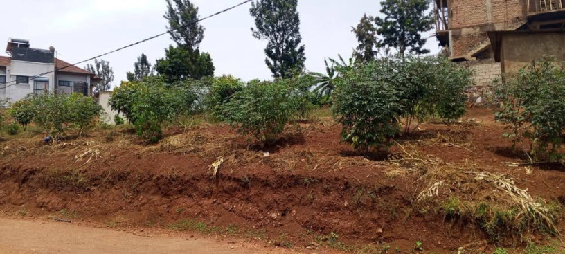 plot-for-sale-in-bumbogo-at-a-good-price-big-1