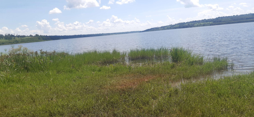 land-for-sale-in-bugesera-ngeruka-access-on-lake-of-rwanda-hot-deal-big-2