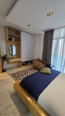 gishushu-apartment-rent-with-swimming-pool-fully-furnished-2bedroom-2bathroom-1200usd-big-10