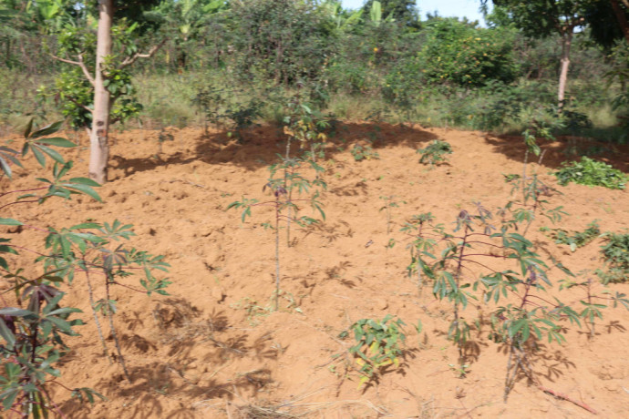plot-for-sale-in-bugesera-near-airport-hot-deal-view-of-lake-big-0