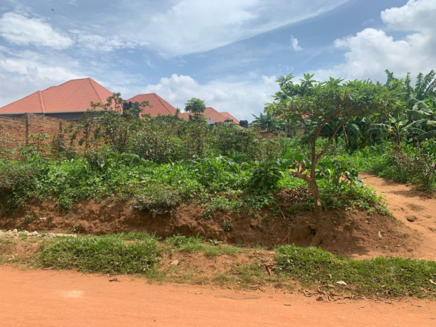 ep-098-masaka-masaka-very-biggest-and-cheapest-plot-for-sale-with-2-upi-big-4