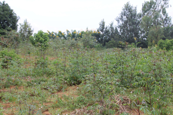 residential-land-for-sale-in-juru-bugesera-near-airport-of-rwanda-hot-deal-big-1