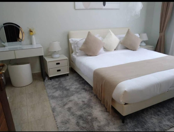 gacuriro-nice-furnished-apartment-for-rent-in-kigali-big-3