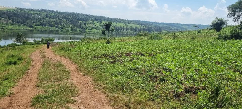 rwamagana-muhazi-plot-for-sale-big-1
