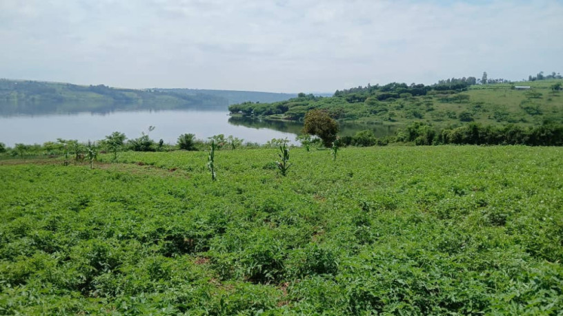 a-big-land-for-sale-in-gatsibo-at-a-good-price-big-3
