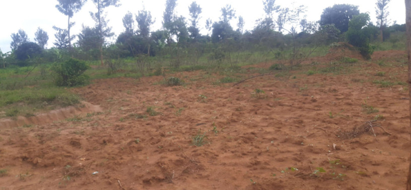 plot-for-sale-in-bugesera-near-airport-hot-deal-big-2