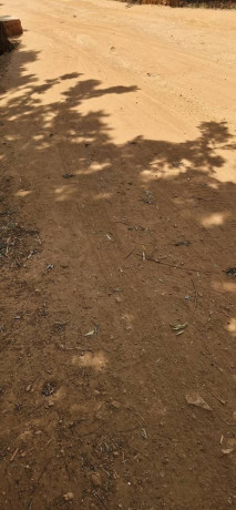 land-for-sale-in-bugesera-nyamata-town-of-rwanda-big-0