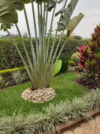 kacyiru-house-for-rent-in-kigali-big-6