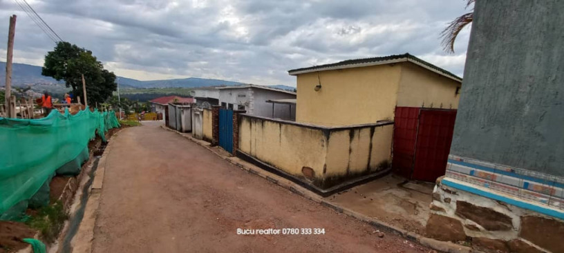 kagugu-big-2