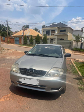 toyota-corolla-big-2