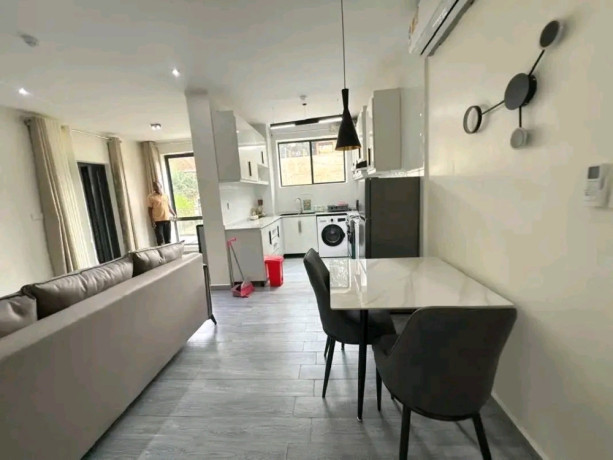 kacyiru-1bed-1bath-at-800k-full-furnished-apartment-for-rent-callwhatsapp-big-4