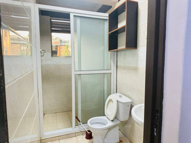 gacuriro-fully-furnished-apartment-for-rent-in-kigali-big-2