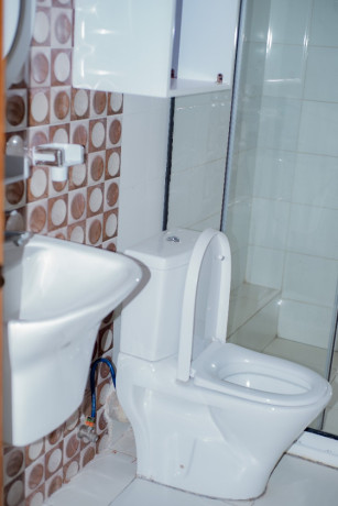 tb-006-kibagabaga-ktibagabaga-nice-furnished-house-for-rent-big-10