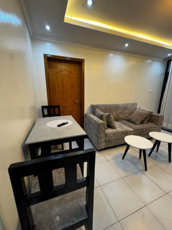 gishushu-1bed-1bath-furnished-apartment-for-rent-in-kigali-big-6