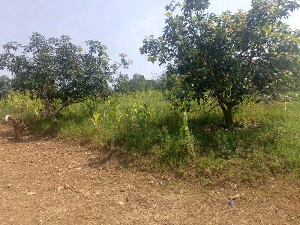 kigali-plot-for-sale-in-kicukiro-big-2
