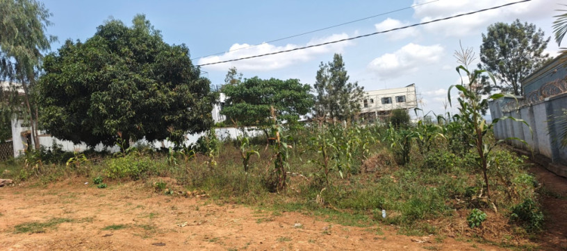 rusororo-plot-for-sale-150m-big-2