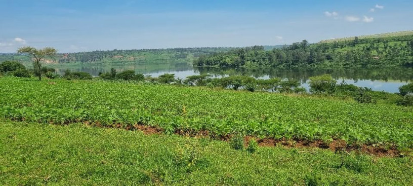 rwamagana-muhazi-plot-for-sale-big-2