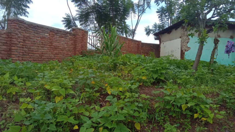 kigali-land-for-sale-in-kiyovu-rugunga-big-1