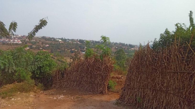 plot-for-sale-in-ndera-on-auctioncyamunara-big-0