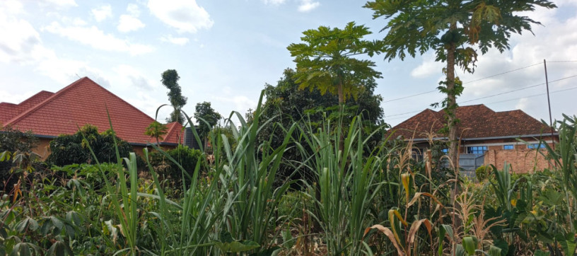ikibanza-tugurisha-65m-gasogi-cyaruzinge-big-7