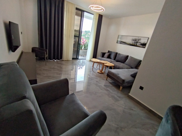 this-is-beautiful-fully-furnished-apartments-for-rent-in-kimironko-big-7