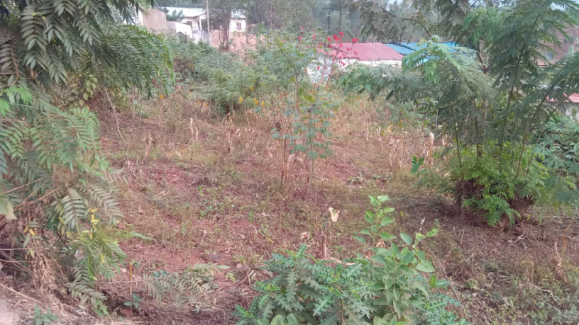 kigali-land-for-sale-in-rebero-facing-nyamirambo-side-big-6