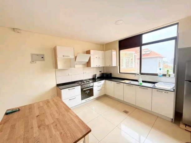 kibagabaga-nice-fully-furnished-apartment-big-11