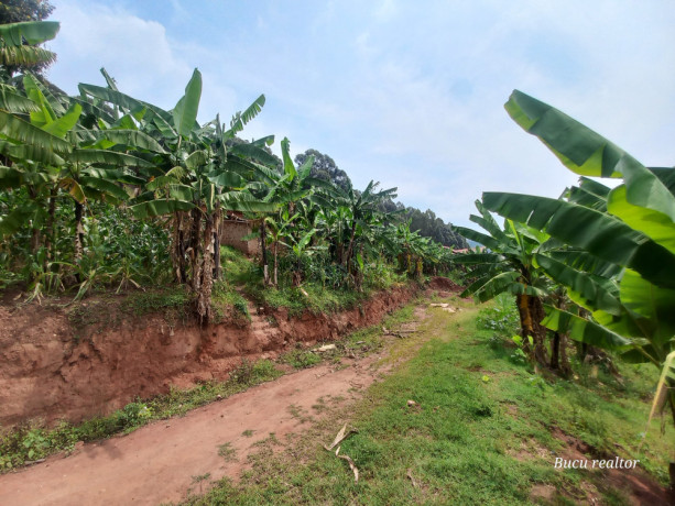 for-sale-please-contact-me-big-0