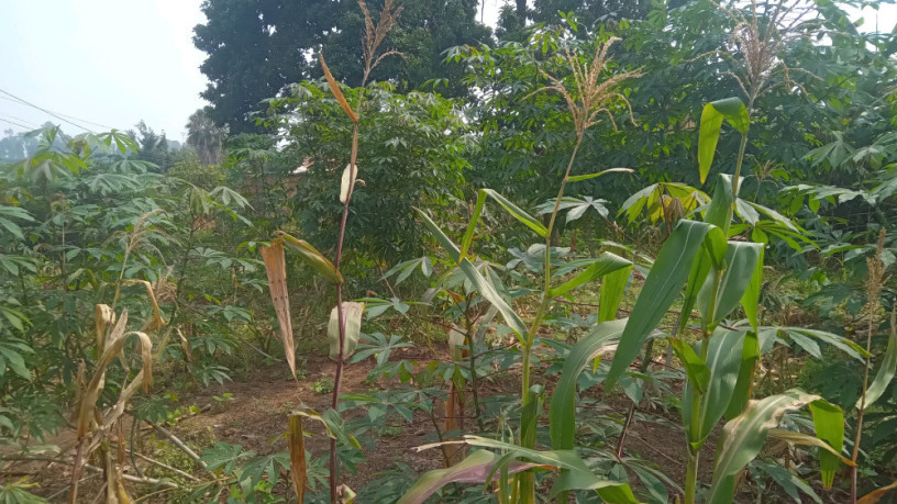 kigali-plot-for-sale-in-kinyinya-big-5