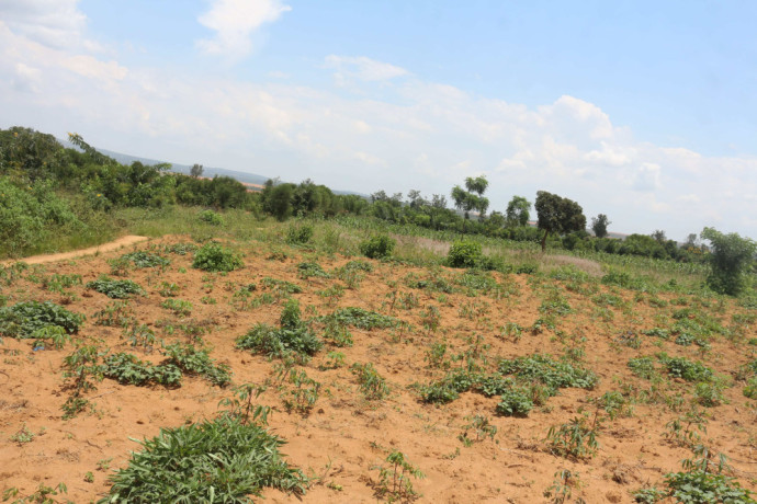 residential-land-for-sale-juru-near-airport-of-rwanda-view-of-airport-big-1