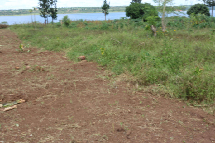 land-for-sale-in-bugesera-gashora-near-airport-of-rwanda-big-1