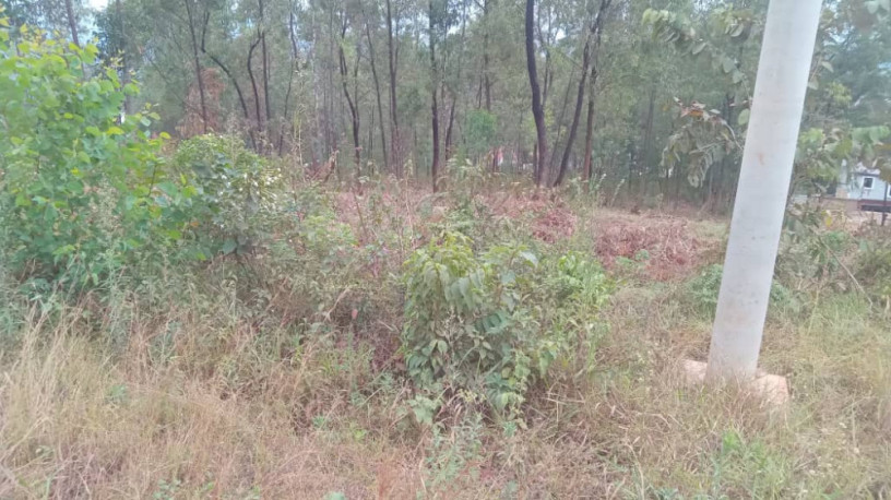 kigali-land-for-sale-in-rebero-big-3