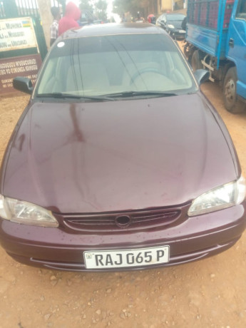 toyota-corolla-big-12