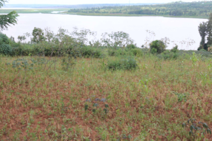 land-for-sale-in-bugesera-gashora-near-airport-of-rwanda-big-2