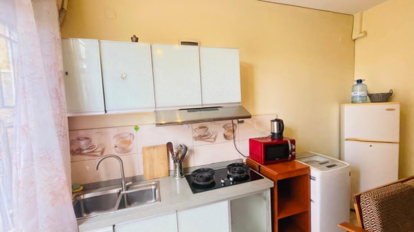 gishushu-fully-furnished-1bedroom-apartment-for-rent-at-500k350-in-good-location-big-0