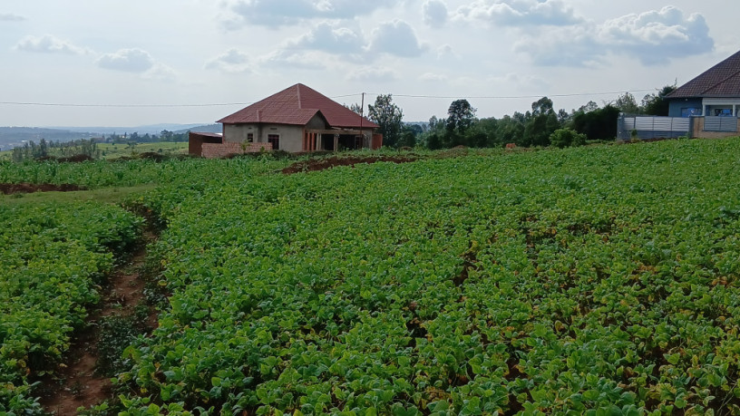 rusororo-plot-for-sale-big-1