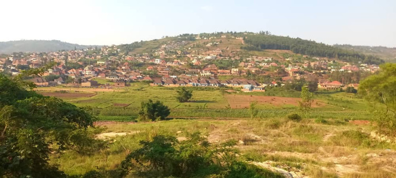 masizi-plo-for-sale-big-0