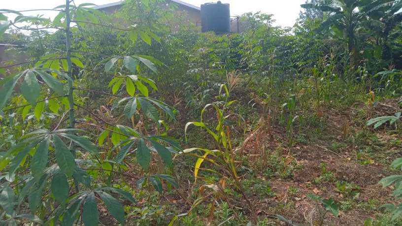 kigali-plot-for-sale-in-kinyinya-big-2