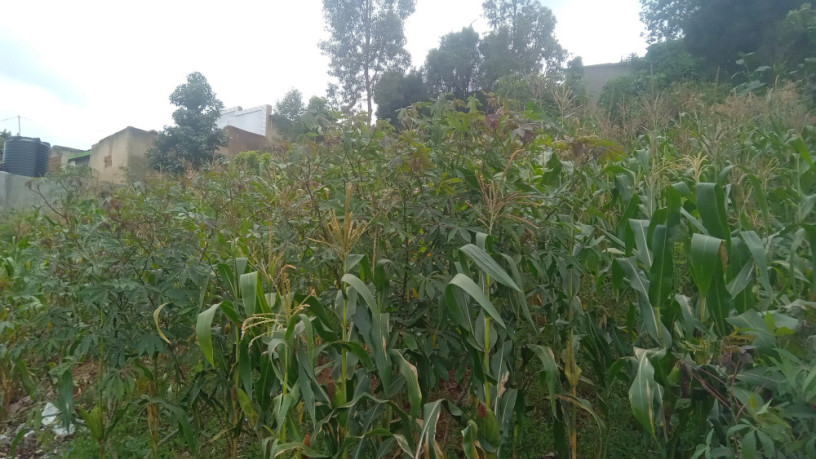 kigali-land-for-sale-in-gisozi-big-7