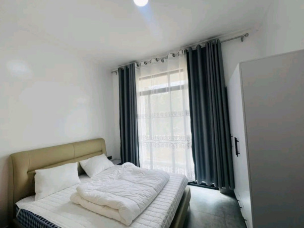 gisozi-near-ulk-furnished-house-for-rent-big-8