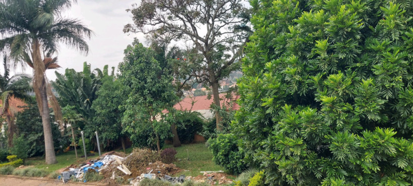 kigali-office-house-available-for-rent-in-kimihurura-big-4