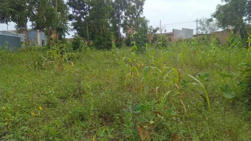 land-for-sale-in-batsinda-kagugu-big-7