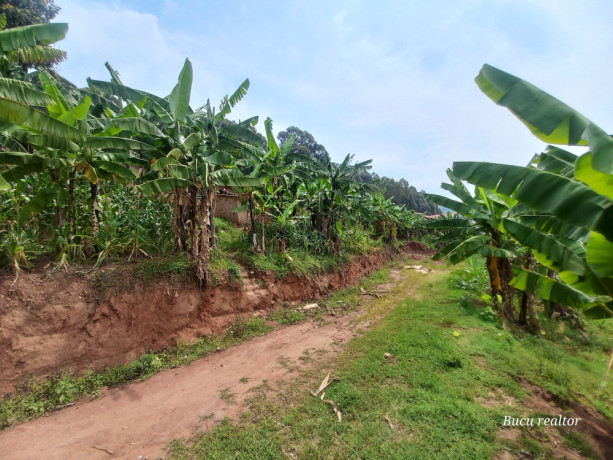 for-sale-please-contact-me-big-1