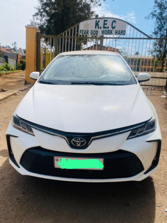 corolla-big-2