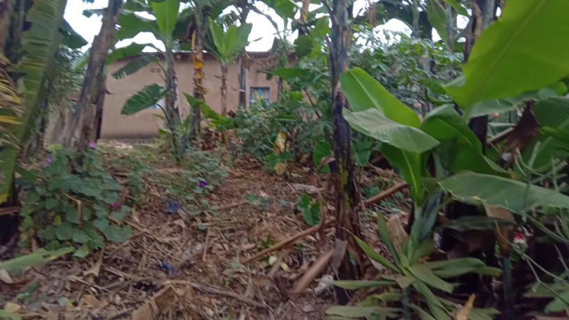 kigali-land-for-sale-in-nyamirambo-big-8